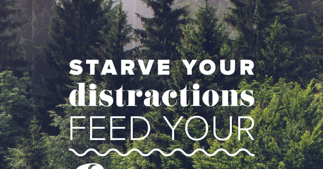 Feed Your Focus Forest