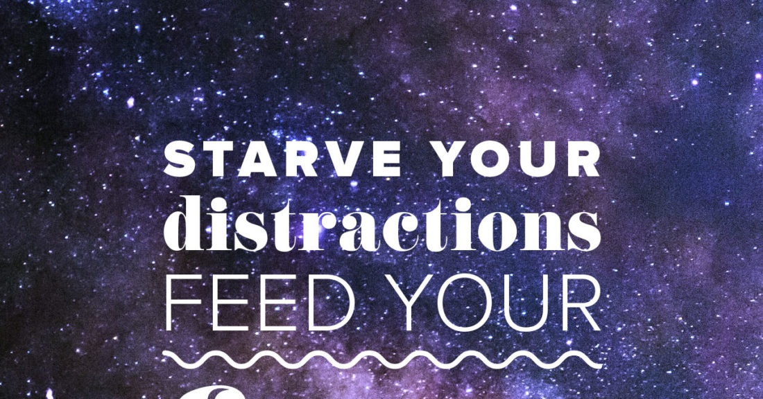 Feed Your Focus Universe